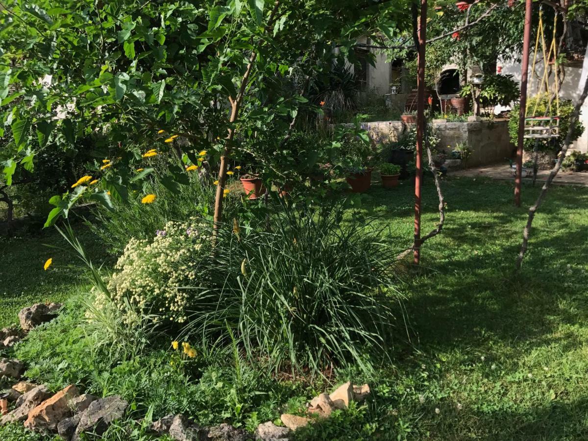 Green Quiet Apartments 沃迪切 外观 照片